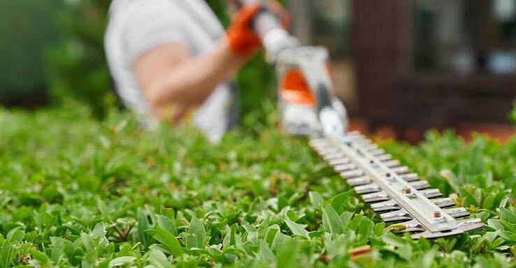 The blade of a hedge trimmer resting along the top of a freshly trimmed green hedge, held by a worker in orange gloves